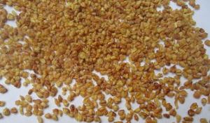 استخراج الحنطة السوداء المريرة