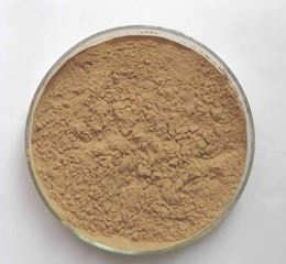ivy leaf extract