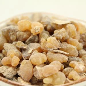 بوزويليا سيراتا بوزويليا سيراتا مسحوق حمض بوزليك استخراج اللبان بوزيليا النفط