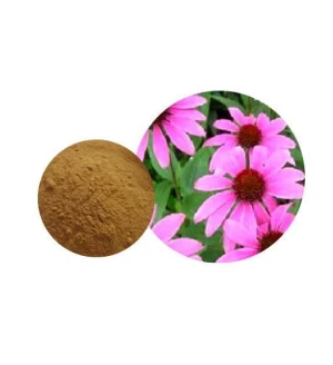 مستخلص الصبار