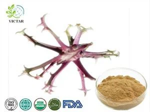 استخراج مخلب الشيطان