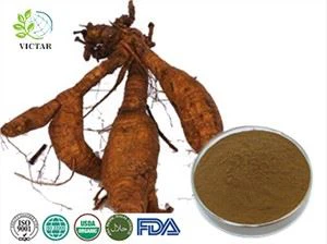استخراج بوريريا