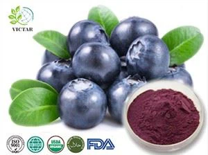 عنبية أنثوسيانين