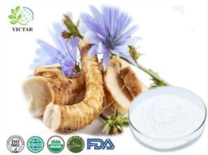 مسحوق إنولين جذر الهندباء