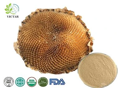 مستخلص طبق عباد الشمس