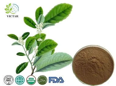يربا ماتي استخراج